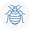 Bed Bug Extermination In Gloucester