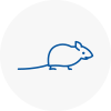Mice Exterminators In Gloucester