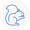 Gloucester Rodent Removals
